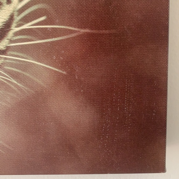 Cheetah canvas print - Picture 4 of 5